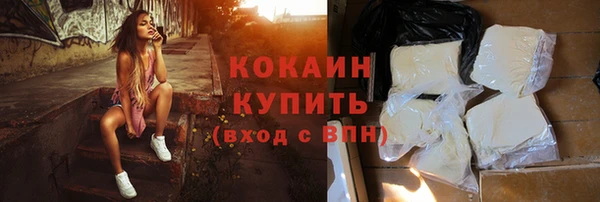 соль ск Новозыбков