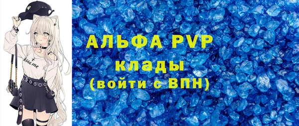 соль ск Новозыбков