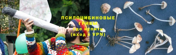 соль ск Новозыбков