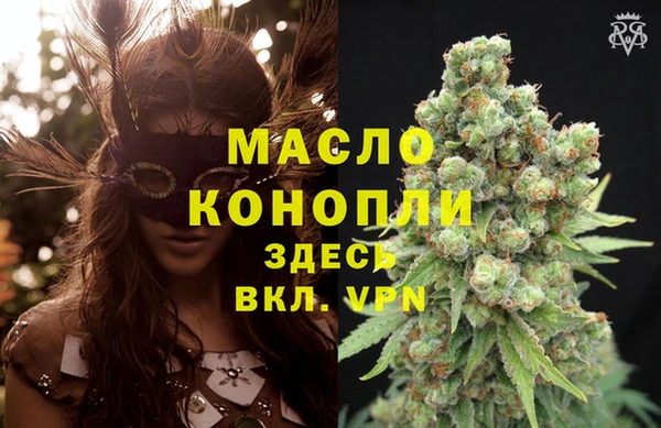 соль ск Новозыбков