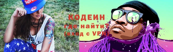 соль ск Новозыбков