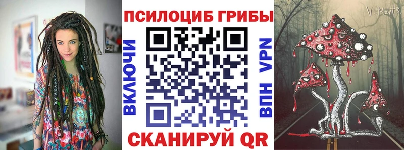 Псилоцибиновые грибы мухоморы  Купить закладки  Луга 